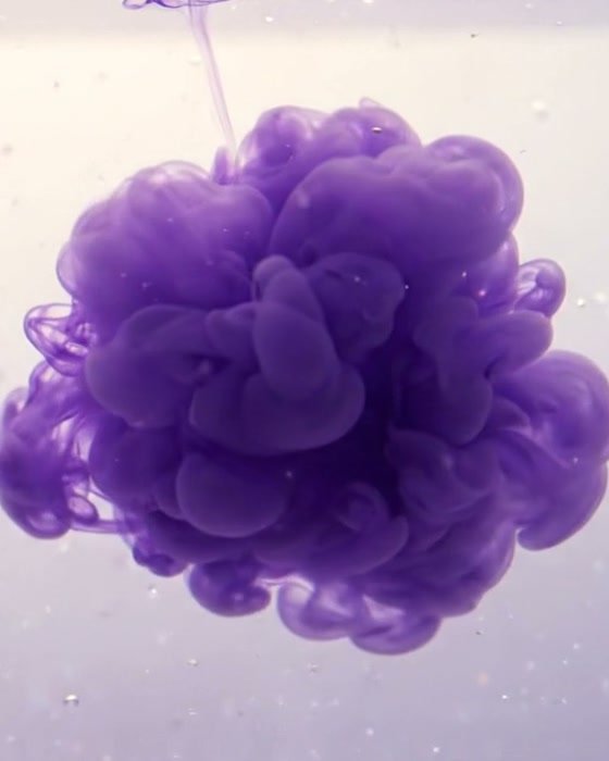 A full bloom of violet ink suspended in pale water