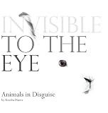 Cover of Invisible to the Eye: Animals in Disguise