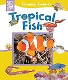 Cover of Tropical Fish, a Learning Ladder title